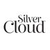 Silver Cloud