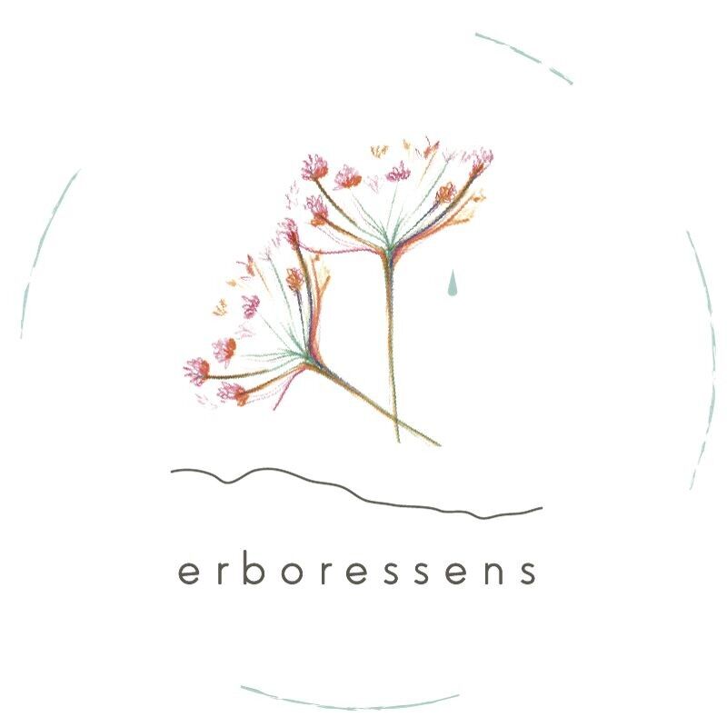 Erboressens