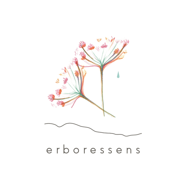 Erboressens