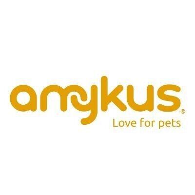 Amykus