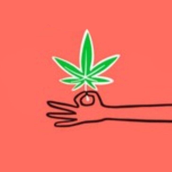 Les Plantes au Naturel