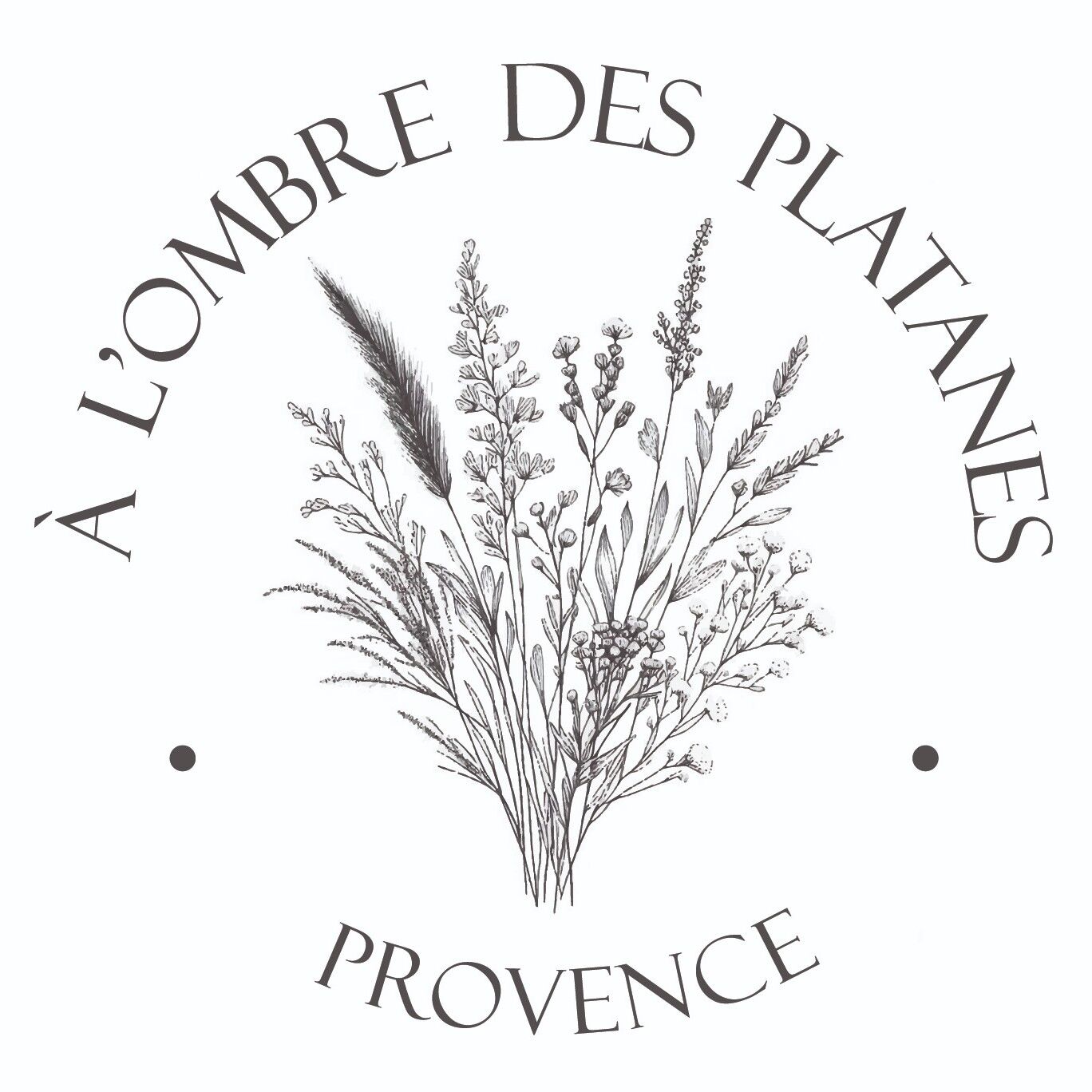 A l'ombre des platanes Provence