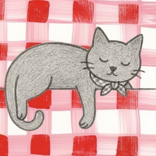 Un chat dans la maison