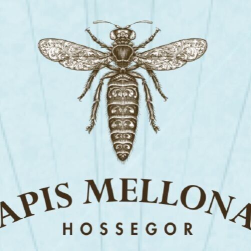 Apis Mellona