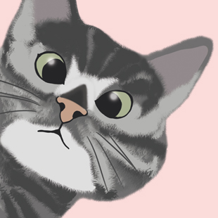 Katzenmuddi