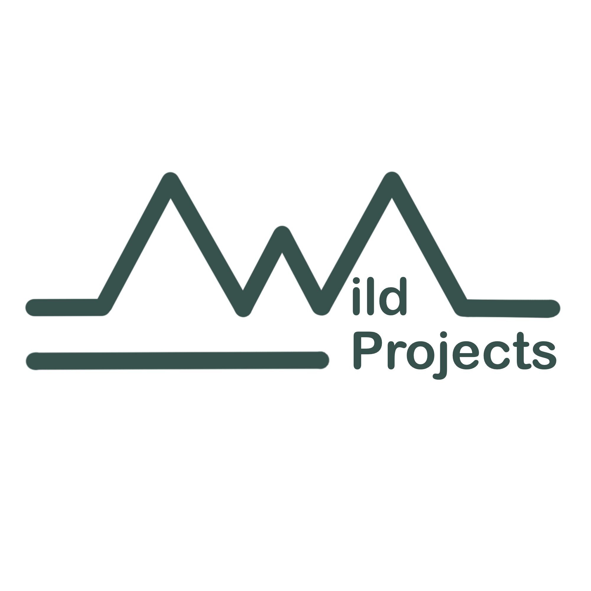 Wild Projects
