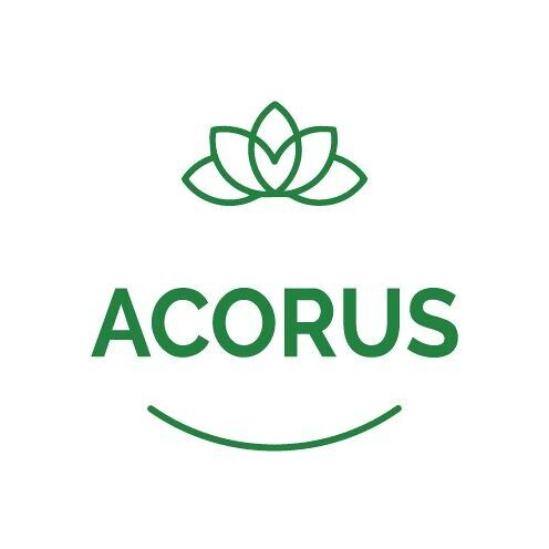 Acorus