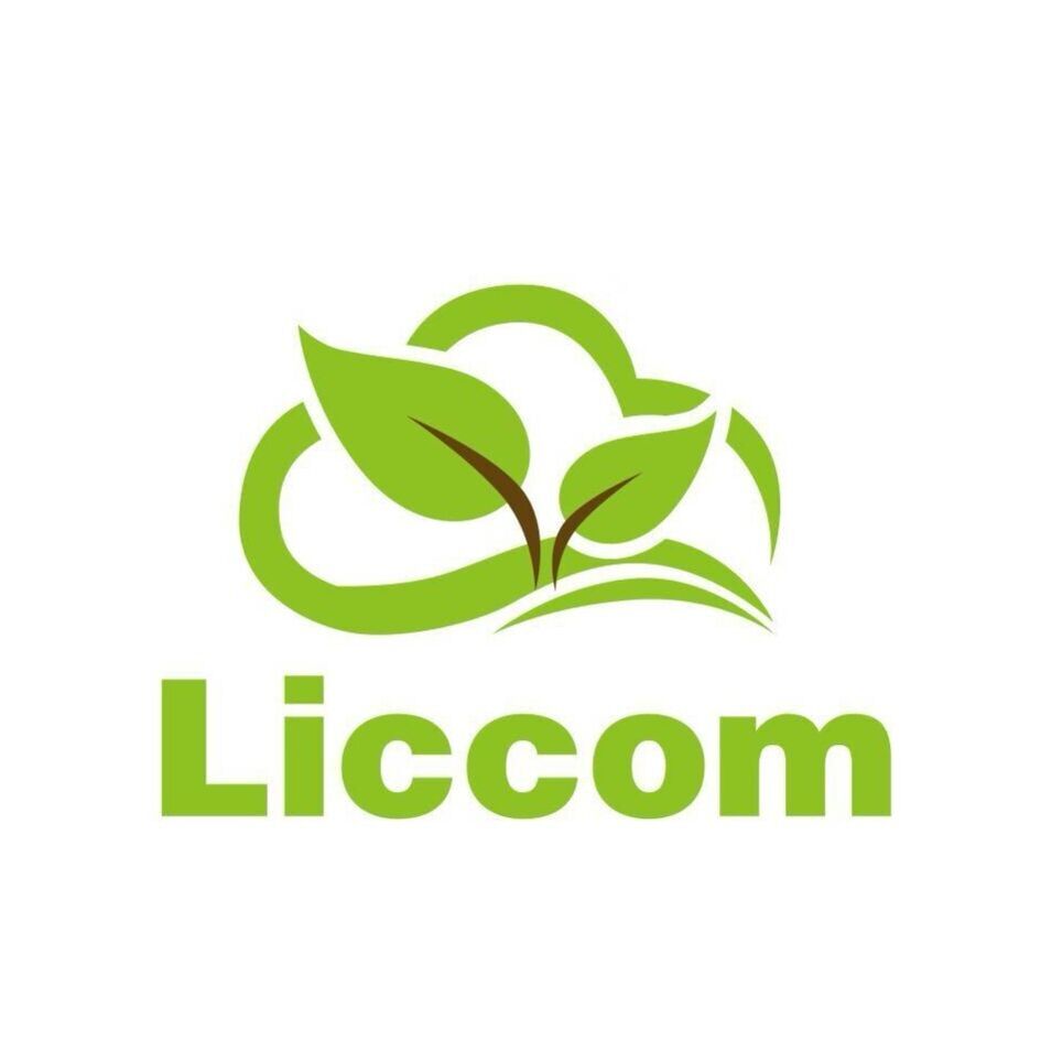 Liccom Srl