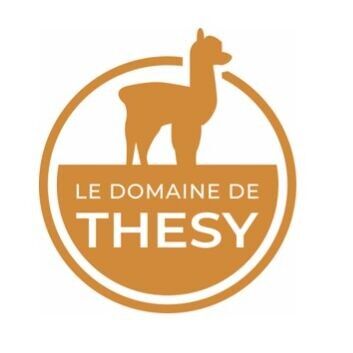 Thesy