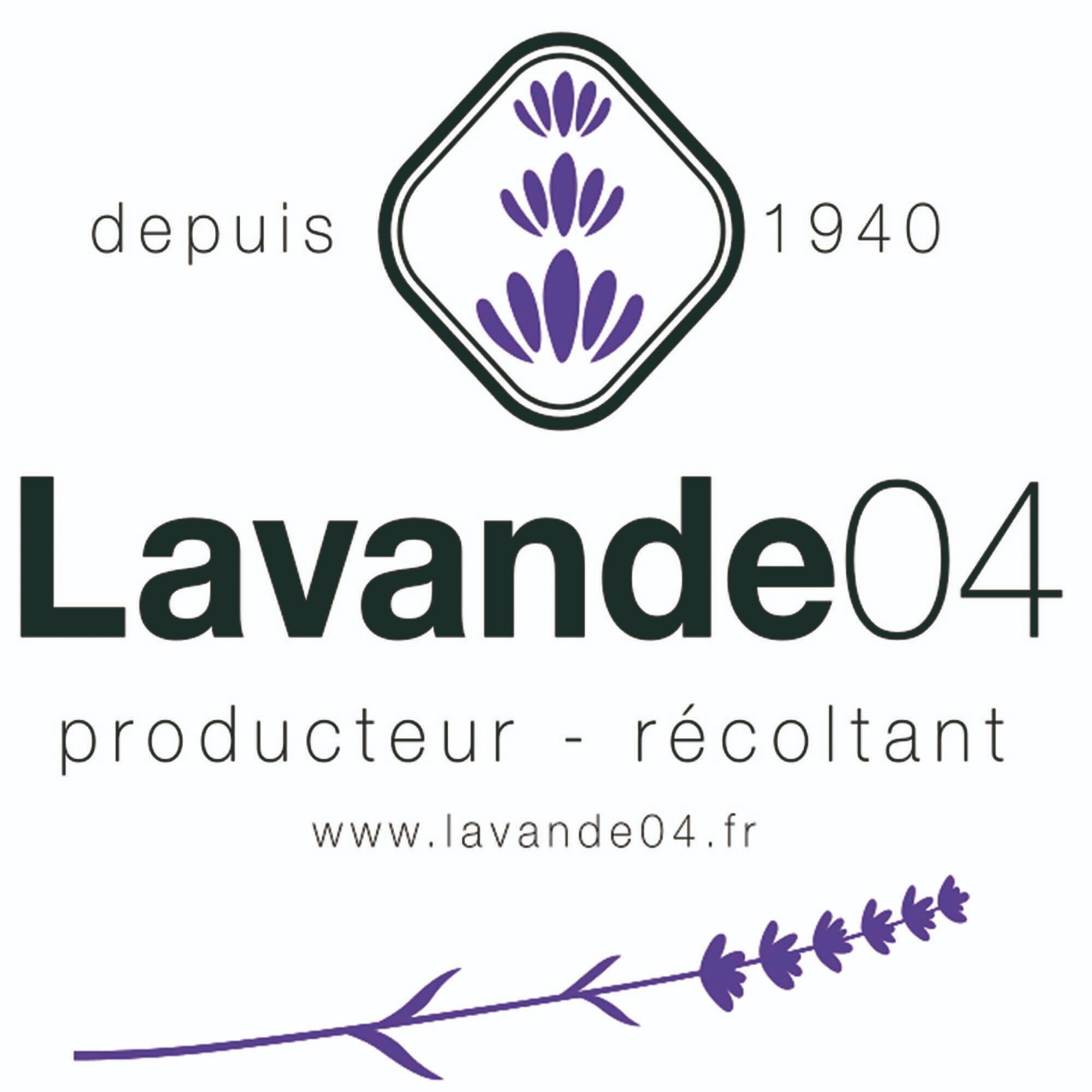 Lavande04