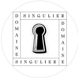 Domainesingulier