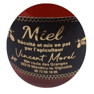 Vincentmorelapiculteur