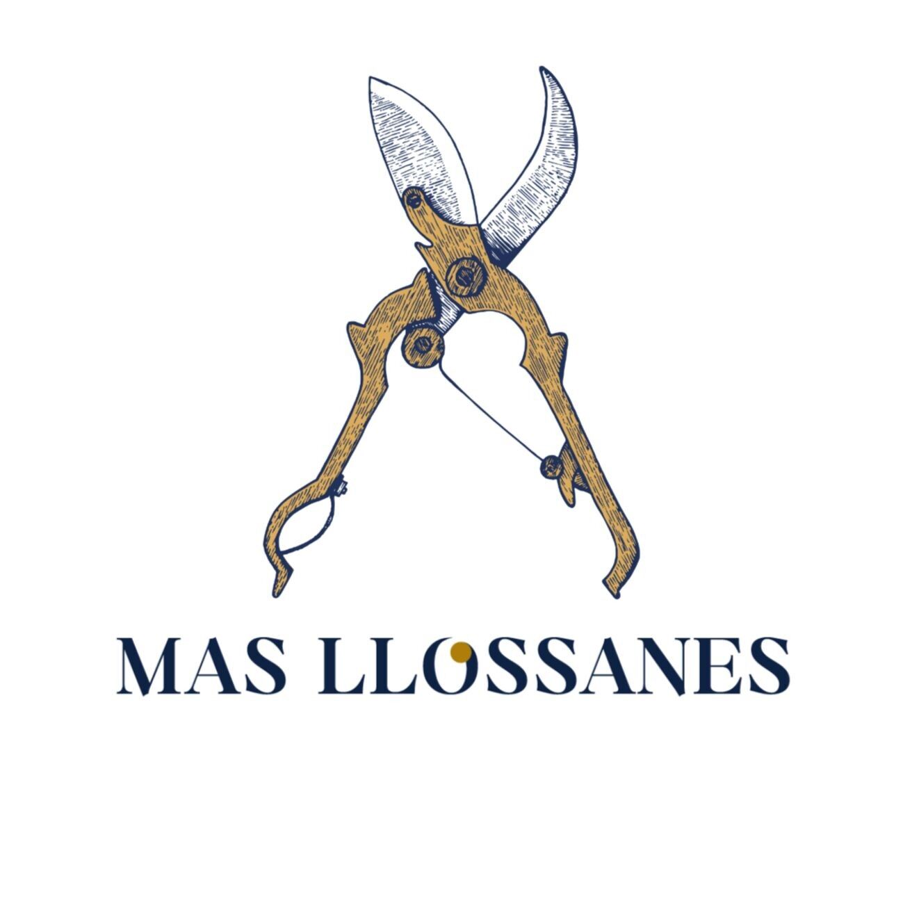 Mas Llossanes