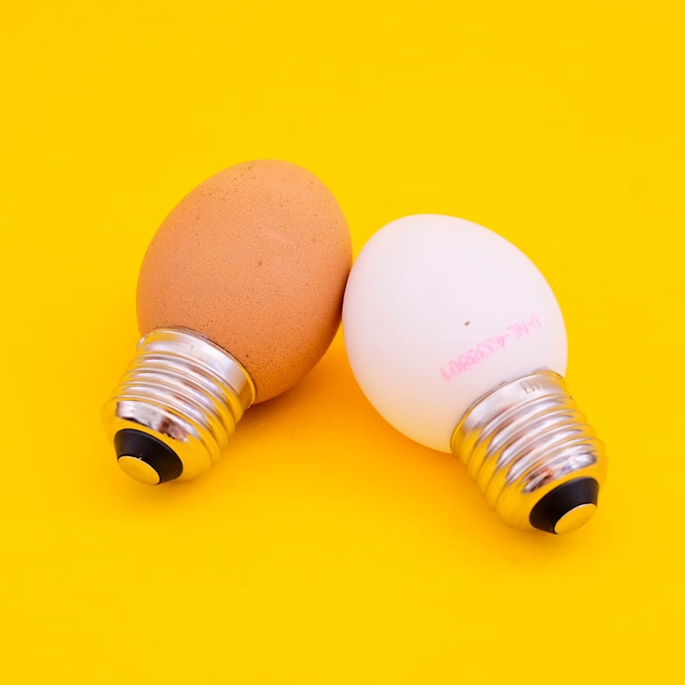 Egglamp