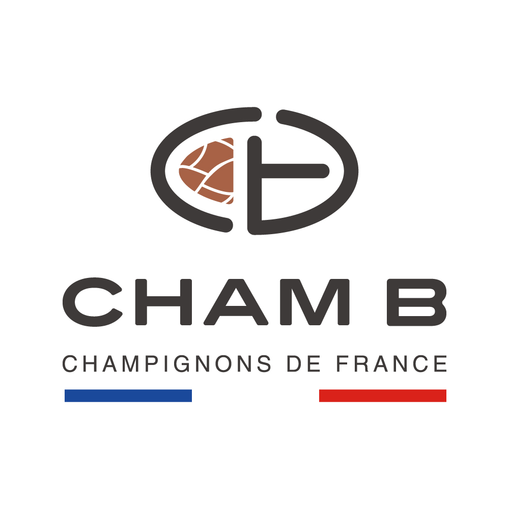 CHAM B