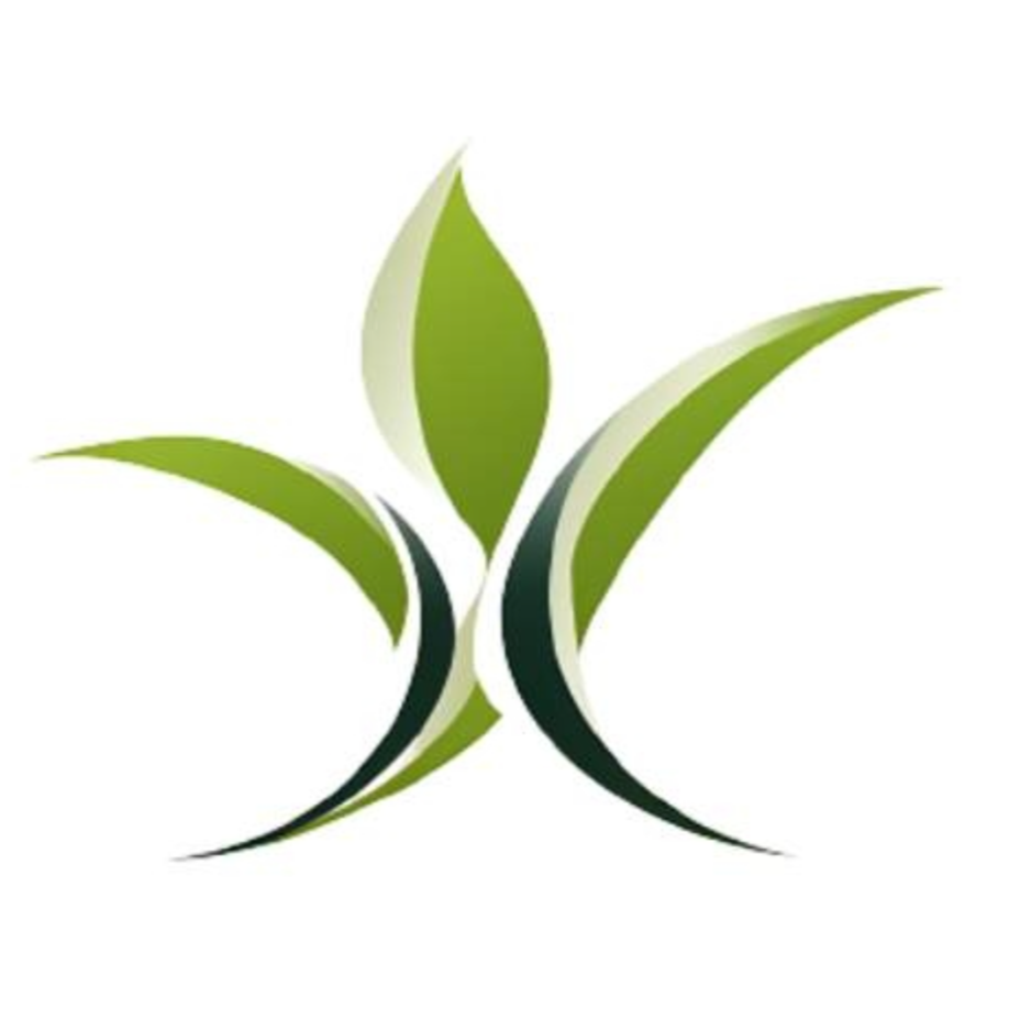 xseed limited