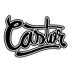 Castor Sunglasses