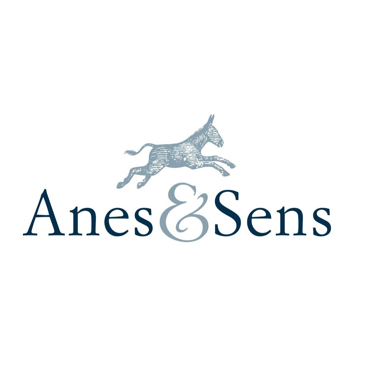 Anes&amp;Sens
