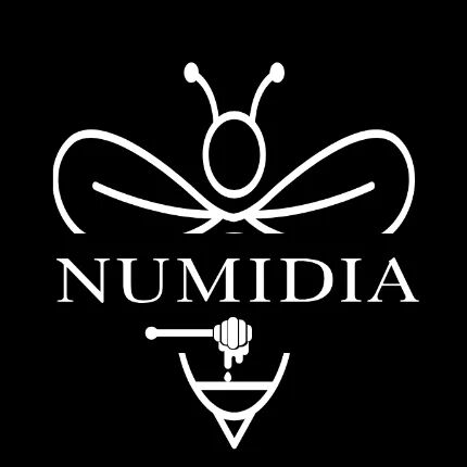 numidia kingdom ltd