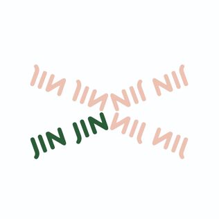 JIN JIN