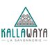 Kallawaya