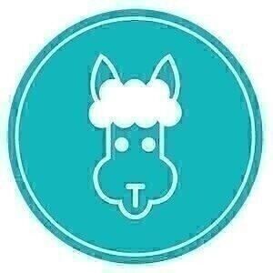 Bibiche fait son Cirque