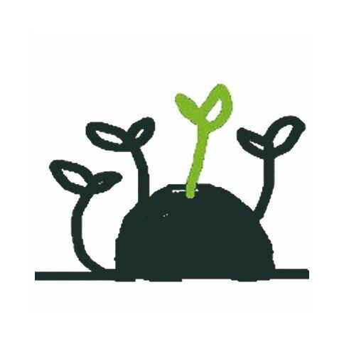 Die Seedball-Manufaktur