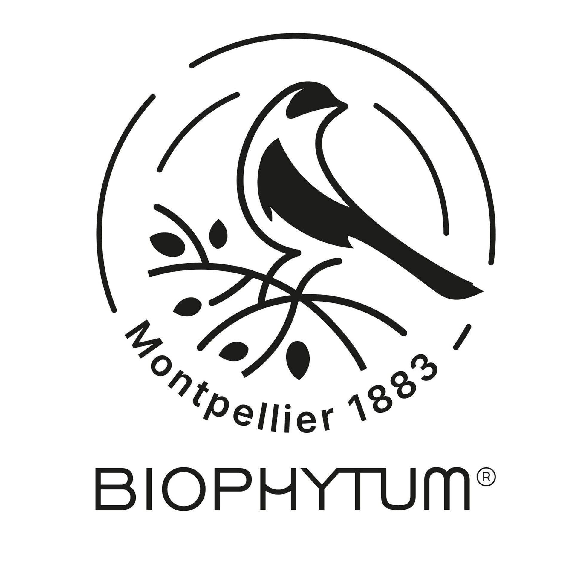 Biophytum