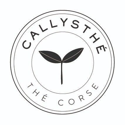 CALLYSTHÉ