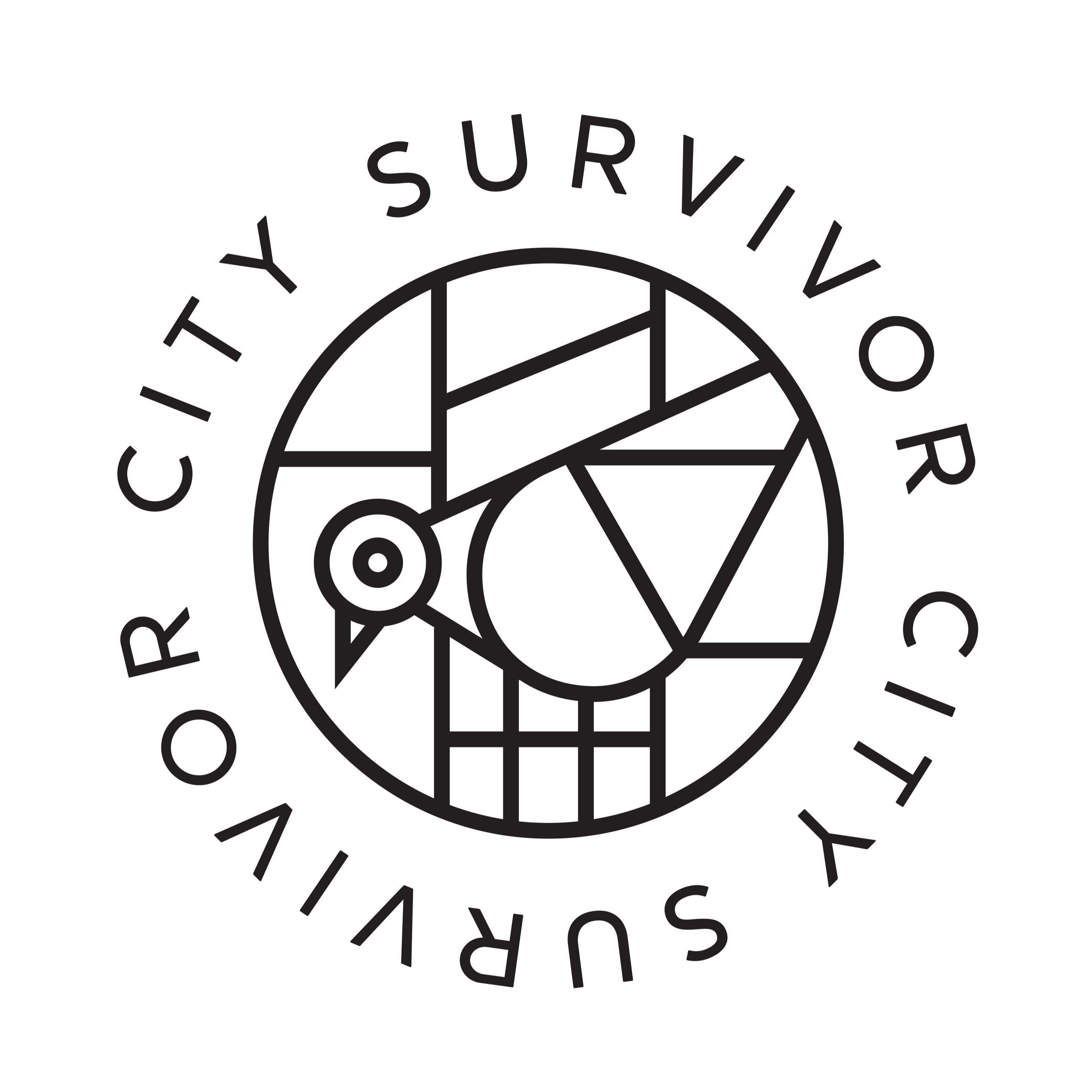 City Survivor