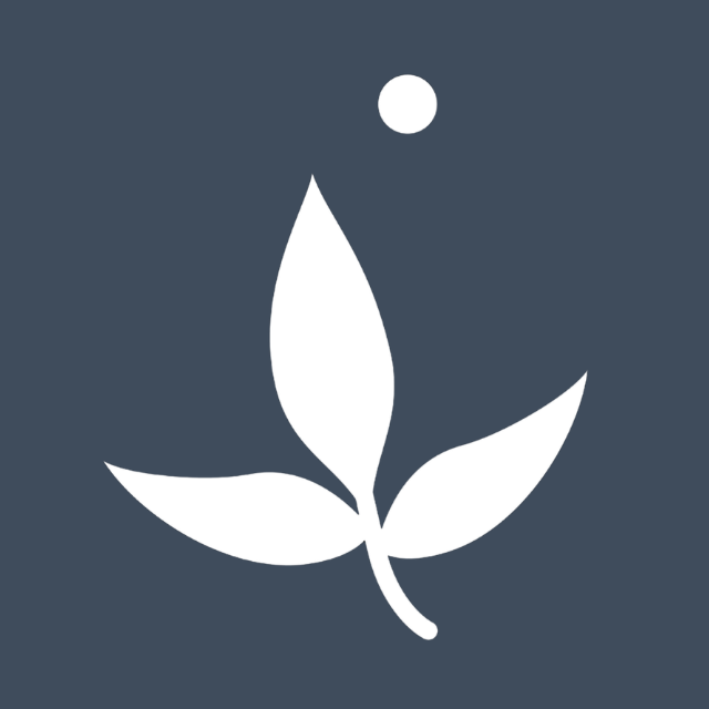 Ayu'in