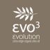 Evo3 Olive Oil