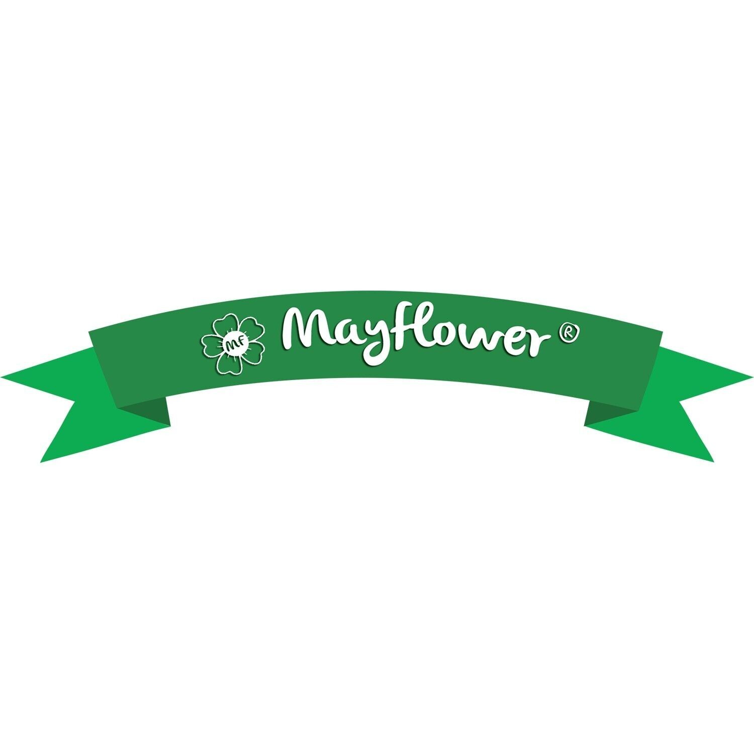 Mayflower