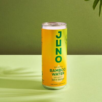 Juno Bamboo Water