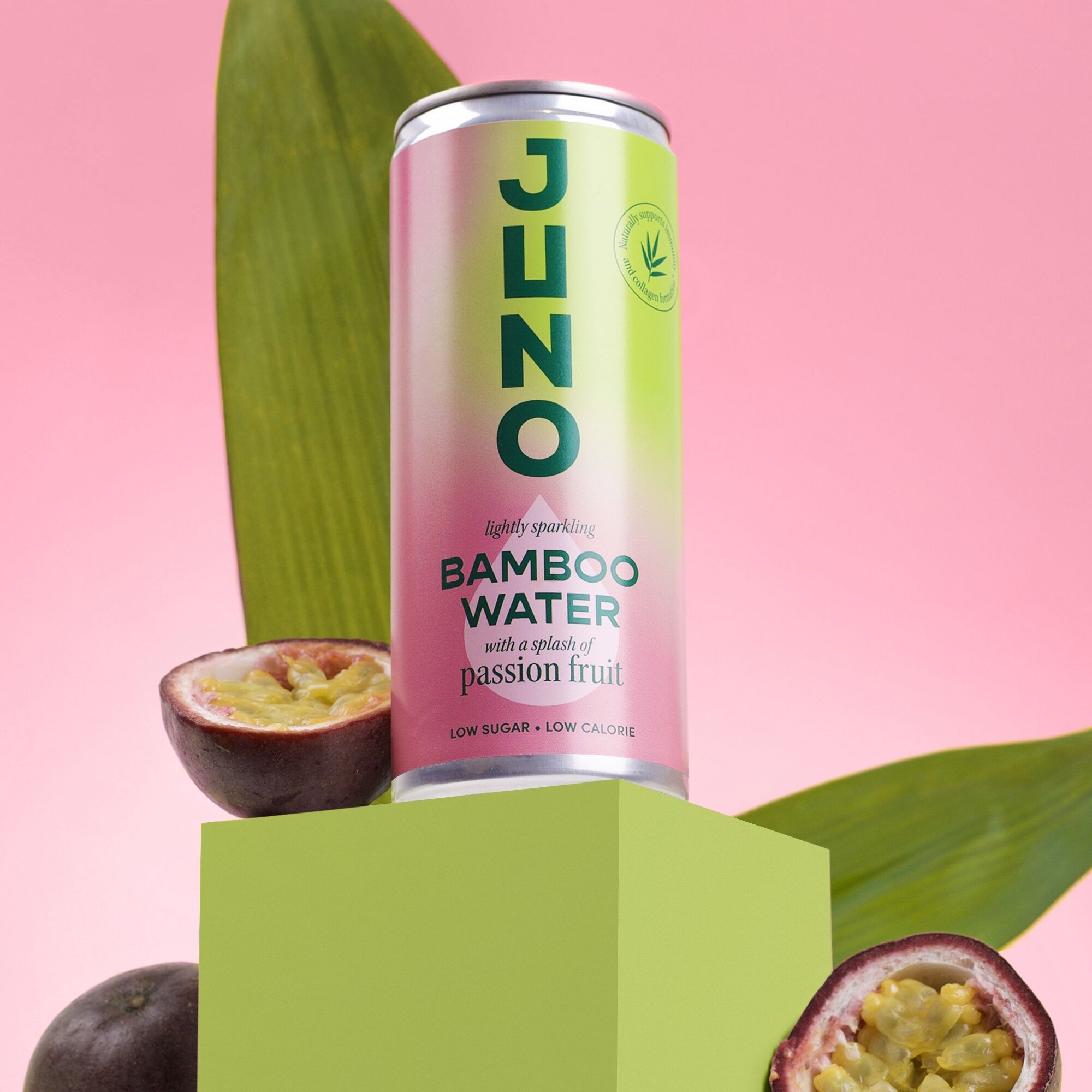 Juno Bamboo Water
