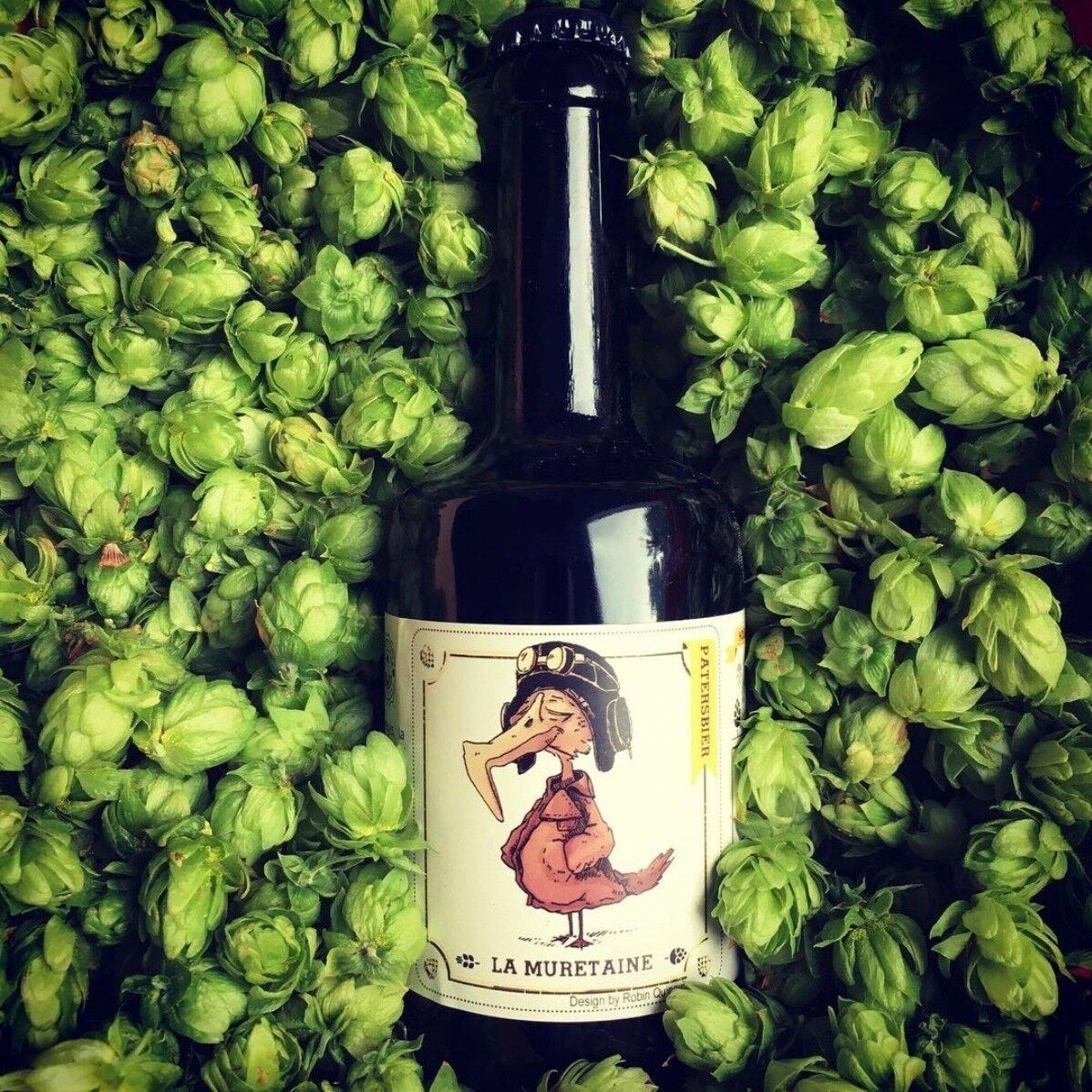 Le Veilleur de bières – Bières artisanales bio & engagées