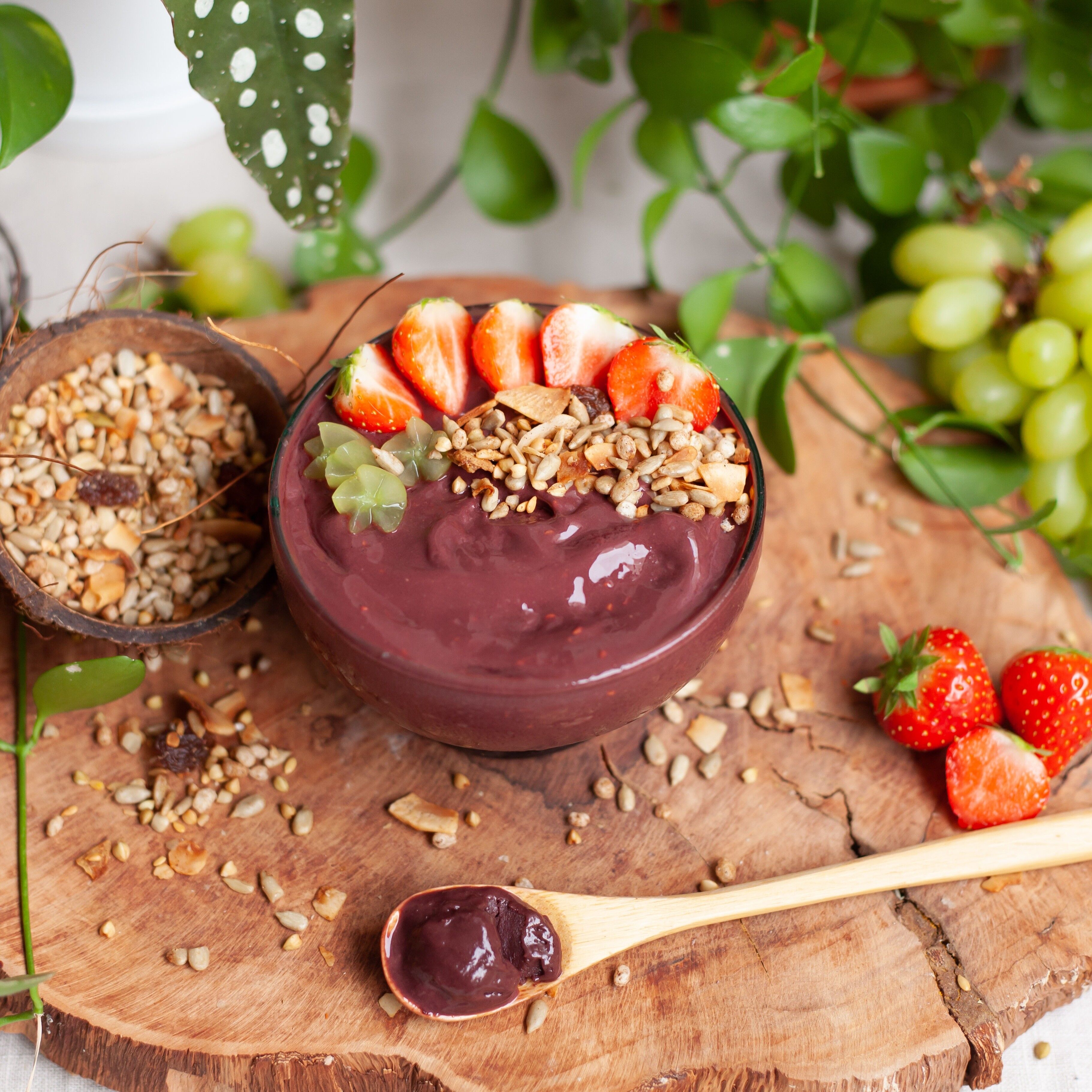 Tropicalia Amsterdam