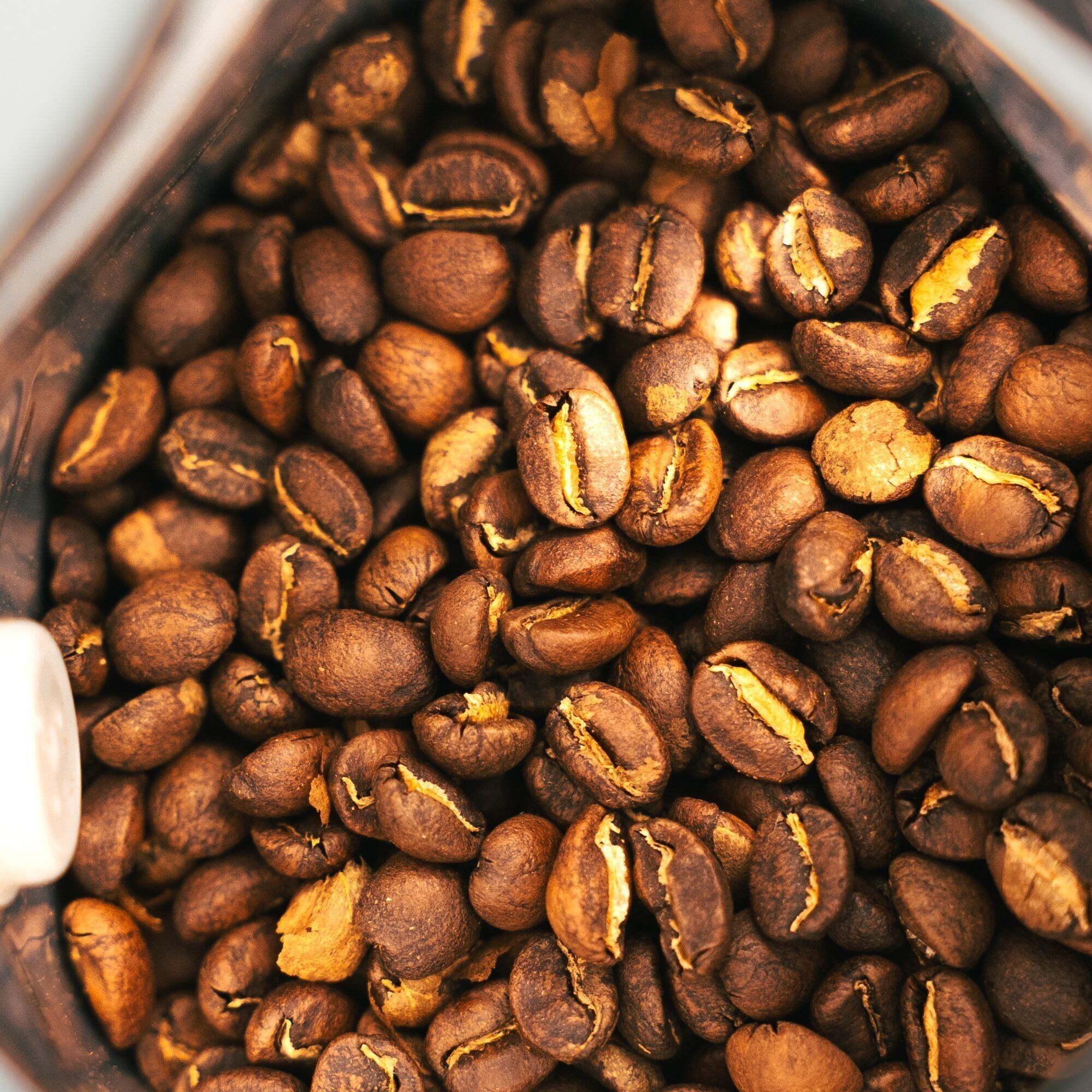 Indigo Coffee Projects