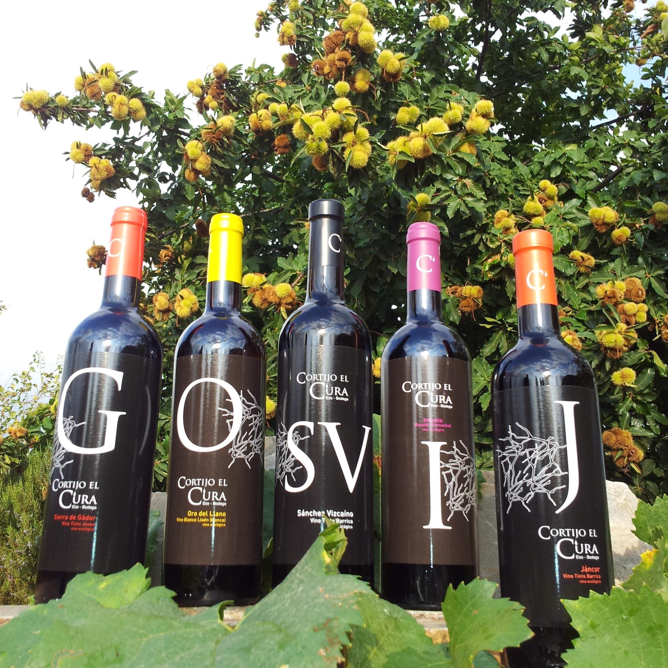 Cortijo El Cura Eco-Bodega's Wine