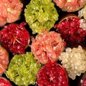 Fruits at home