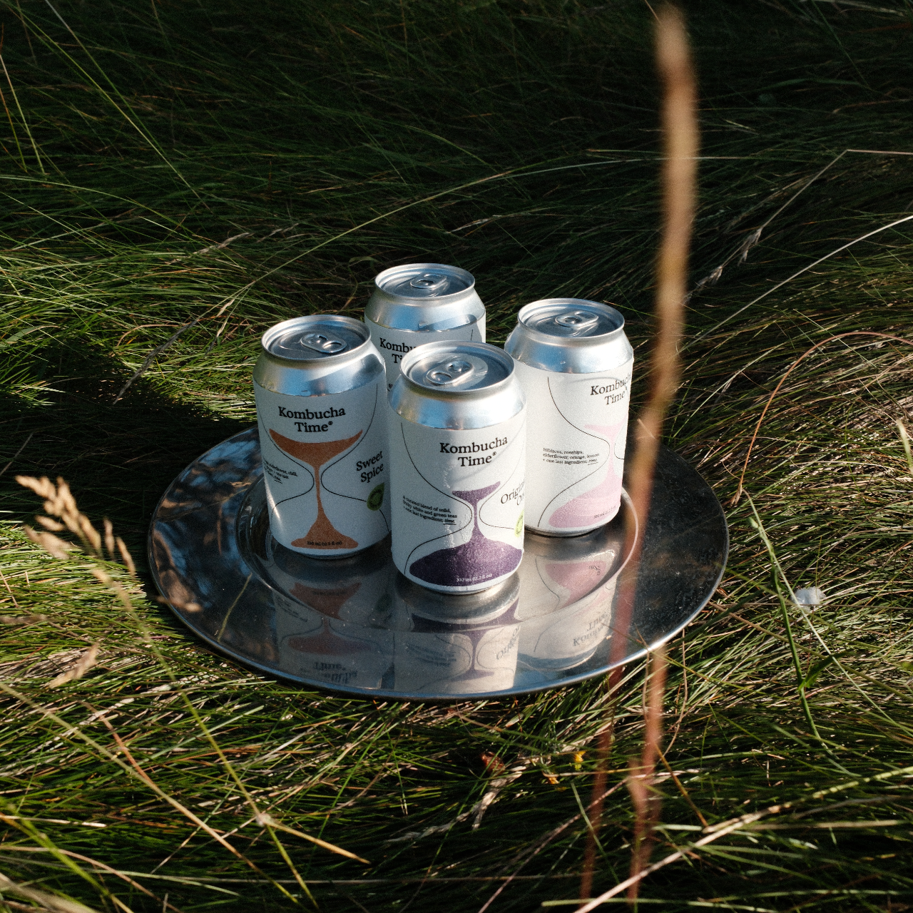 Kombucha time