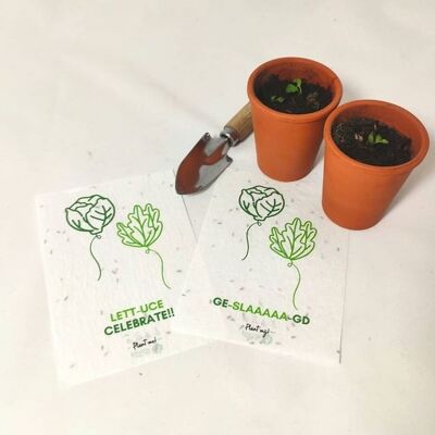 Growing Paper