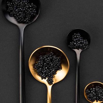 Caviar of switzerland