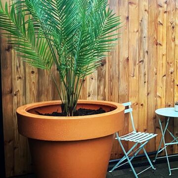 Big Plant Pots