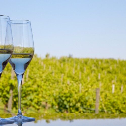 CHAMPAGNE PATRICK BOIVIN