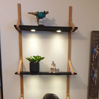 Harmonize Shelf