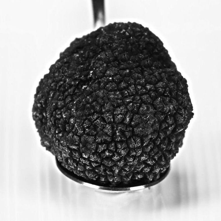 Le Comptoir d'Alba - truffe