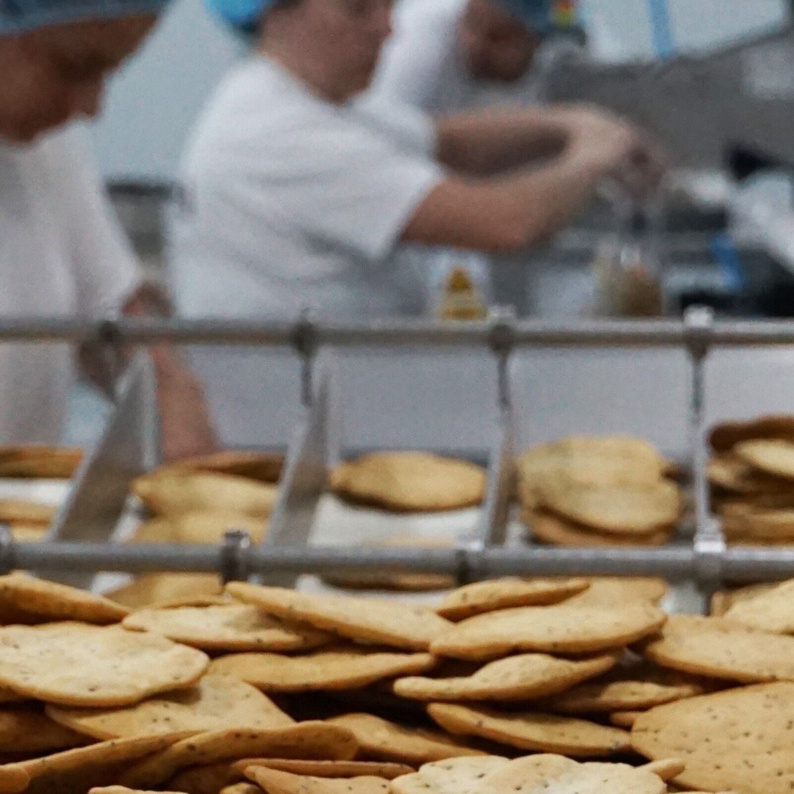 Galletas Marineras Daveiga