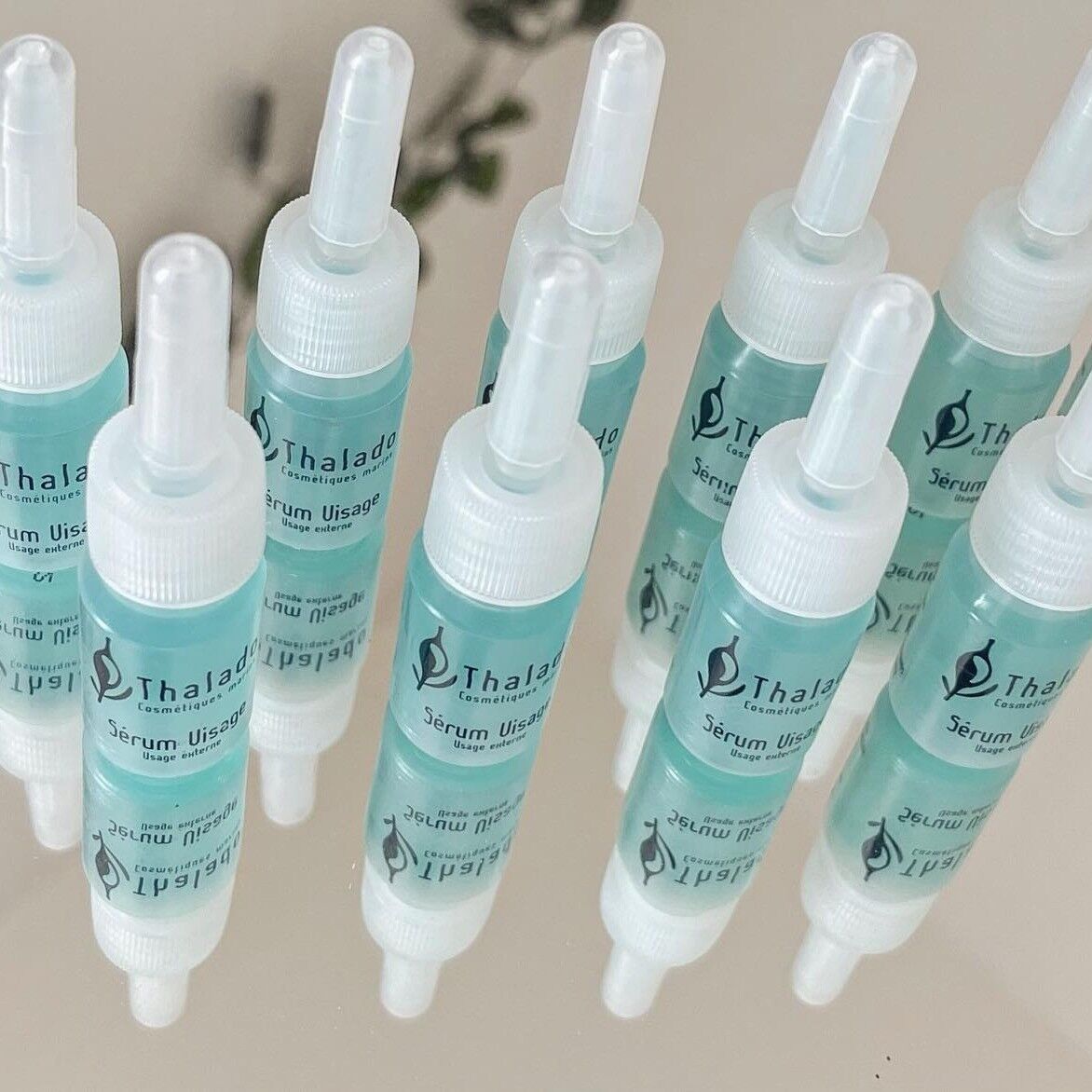 THALADO LE COMPTOIR DES ALGUES