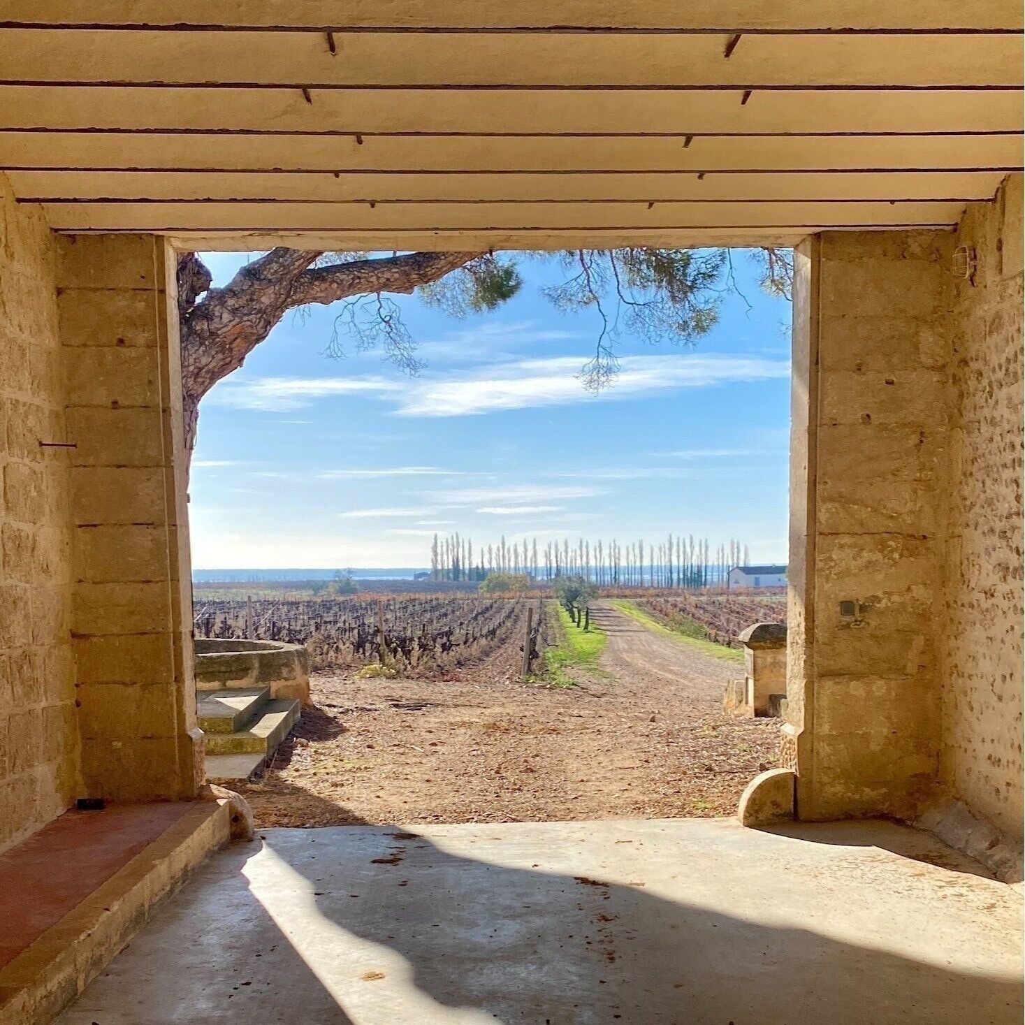 Domaine La Bergerade - Vins du Rhône